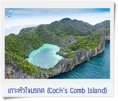 เกาะหัวใจมรกต cockcomb