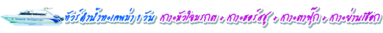 ดำน้ำทะเลพม่า 1 วัน หัวใจมรกต อ่าวค้อน เกาะฮอร์สชู